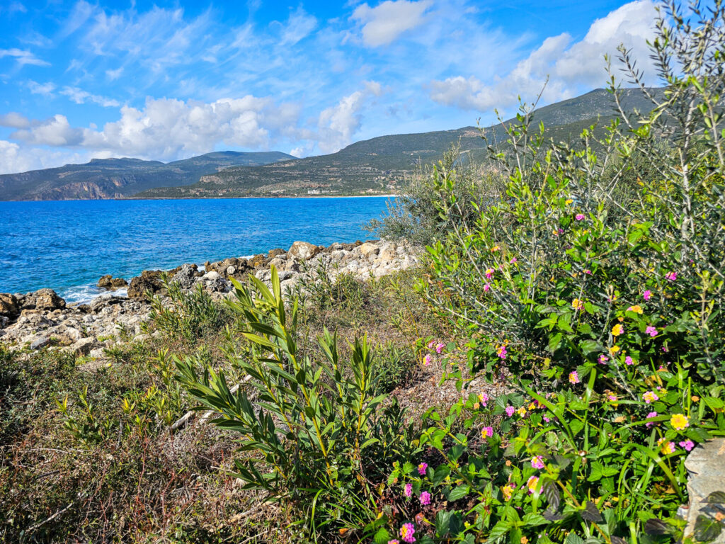 A scenic coastal view of Kardamili, Greece, in January, featuring lush greenery, blooming flowers, rocky shores, and the blue Mediterranean Sea with mountains in the background.