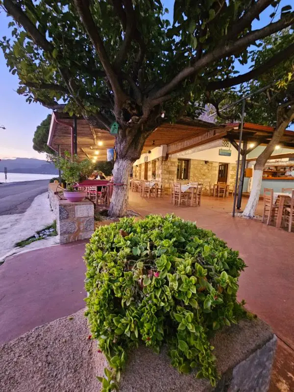 Shaded outdoor cafe seating under trees at Gialos harbor, a favorite local spot for guests staying in nearby villa rentals.