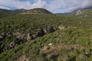 Rocky canyon and hiking trails near Kardamyli in Mani