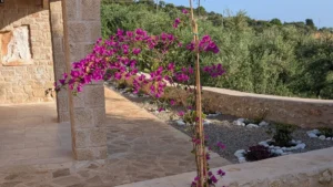 Bougainvillea and stone terrace for a relaxed couples stay in Mani