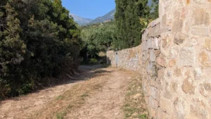 Country lane and Taygetos Mountains near Kardamyli in Mani