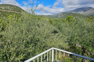 Guest House balcony overlooking olive groves during a stay in Kardamili