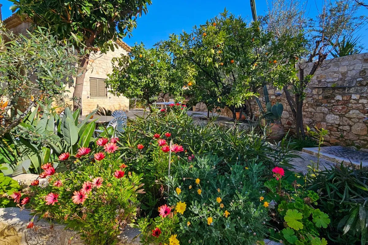 Flower garden and courtyard at Villa Leonidas in Kardamyli