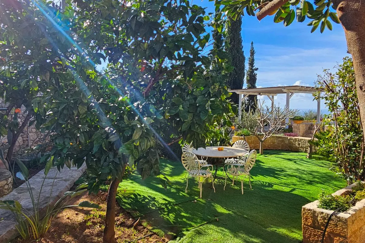 Private garden with citrus trees and seating at Villa Leonidas